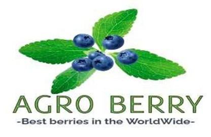 Logo client partenaire Berry